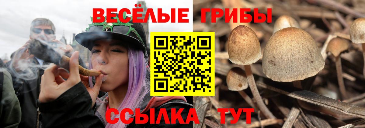 Псилоцибиновые грибы Magic Shrooms  Вход с VPN  Архангельск 